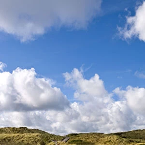 Dunes near Kampen, Sylt Island, North Frisian Islands, Schleswig Holstein, Germany
