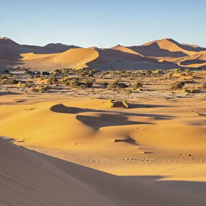 Dunes at Sossusvlei, Sossusvlei, Namibia