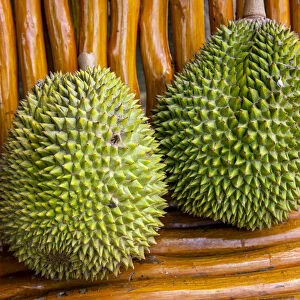 Durian or Durio kutejensis fruit, Rantepao, Tana Toraja, Sulawesi, Indonesia