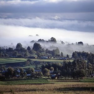 Early morning mist in Tanzanias Southern Highlands