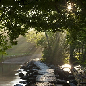 Early morning sunlight shining onto Tarr Steps ancient clapper bridge, Exmoor National