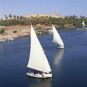 Egypt, Aswan, Feluccas on the Nile