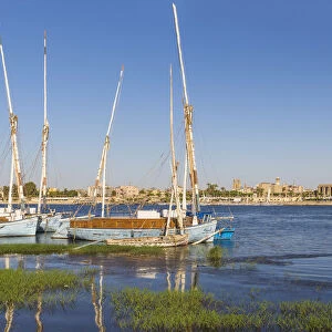 Egypt, Luxor, River Nile and Luxor temple