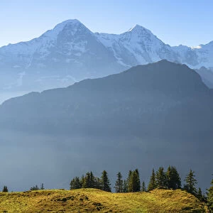 Eiger, Monch and Jungfrau seen from Schynige Platte, Berner Oberland, Grindelwald, Bernese Alps, Bern, Switzerland