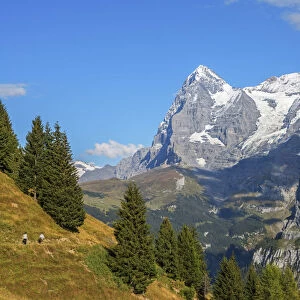 Eiger and Monch from Mürren, Berner Oberland, Switzerland