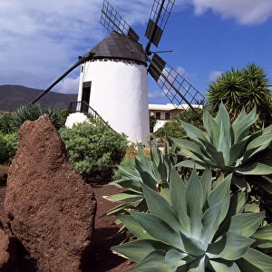 El Molino in Antigua, Fuerteventura, Canary Islands, Spain