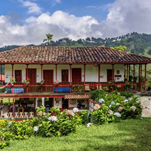 El Ocaso Farm, Salento, Quindio Department, Colombia