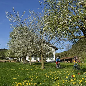 Electric cyclists in Prien am Chiemsee, Chiemgau, Upper Bavaria, Bavaria, Germany