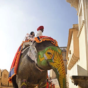 Elephant at the Amber Fort, city of Jaipur, Rajasthan, India