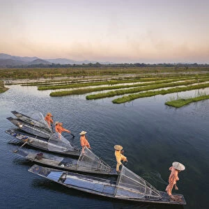 Elevated view of five leg-rowing fishermen rowing on Lake Inle before sunset, Lake Inle