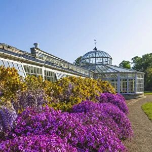 England, London, Chiswick, Chiswick House and Gardens, The Conservatory