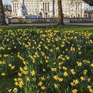 England, London, Green Park and Buckingham Palace
