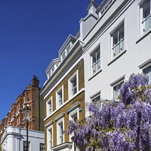 England, London, Westminster, Kensington and Chelsea, Cheyne Walk, Residential Housing