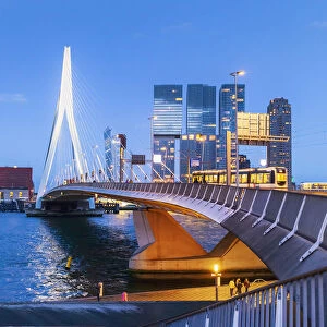 Erasmus Bridge (Erasmusbrug) and city skyline by night, Rotterdam, Zuid Holland