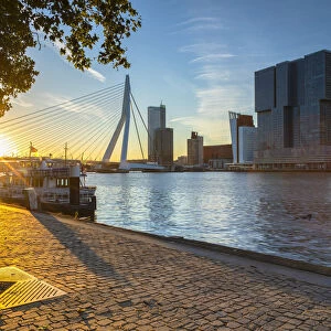 Erasmus Bridge (Erasmusbrug) at sunrise, Rotterdam, Zuid Holland, Netherlands