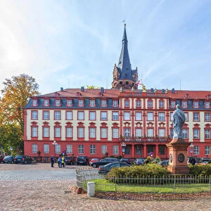 Erbach palace, Erbach, Odenwald, Hesse, Germany