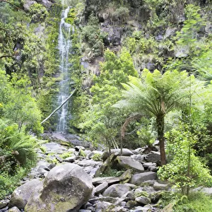 Erskine Falls, Great Otway National Park, Lorne, Great Ocean Road, Victoria, Australia