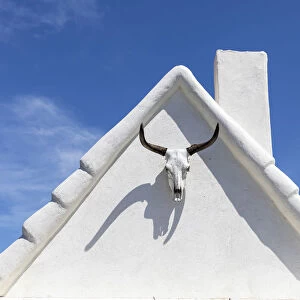 Europe, France, Provence-Alpes-Cote d'Azur, Bouches-du-Rhone, Camargue, Saintes-Maries-de-la-Mer, a typical guardian's house decorated with a bull's skull