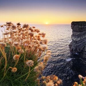 Europe, Ireland, Downpatrick head sea stack at sunset