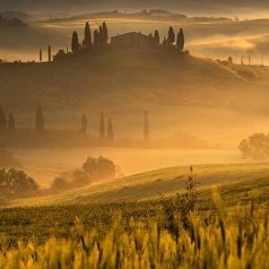 Europe, Italy, Belvedere farmhouse at dawn, province of Siena, Tuscany