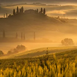 Europe, Italy, Belvedere farmhouse at dawn, province of Siena, Tuscany