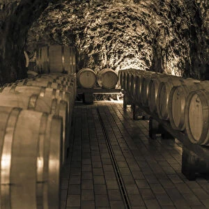 Europe, Italy, Campania. The wine cellar of Marisa Cuomo in Furore