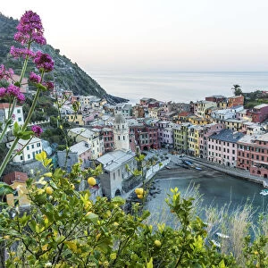 europe, Italy, Liguria. Cinque Terre, the village of Vernazza