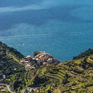 Europe, Italy, Liguria. View over Manarola, Cinque Terre