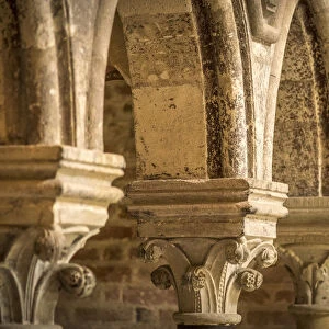 Europe, Italy, Piedmont. The abbey of Vezzolano, details