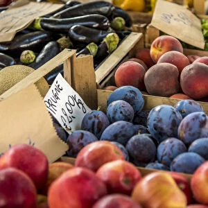 Europe, Italy, Piedmont. Fruits at the market