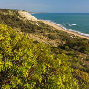 Europe, Italy, Sicily. The Nature Reserve of Torre Salsa with its sandy beach