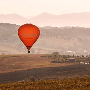 Europe, Italy, Umbria, Perugia district, Gualdo Cattaneo. Hot-air balloons
