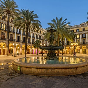 Evening view of Plaza Real or Placa Reial, Barcelona, Catalonia, Spain