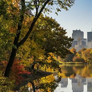 Fall foliage at Central Park, Manhattan, New York, USA