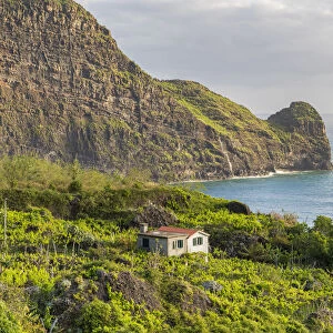 Farmhouse surrounded by fruit plantations and Clerigo Point in the background. Faial