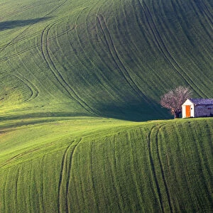 Fields cultivated in the Marche countryside, Monte San Giusto village, Macerata district