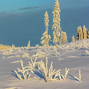 Finland, Lapland, Akaslompolo