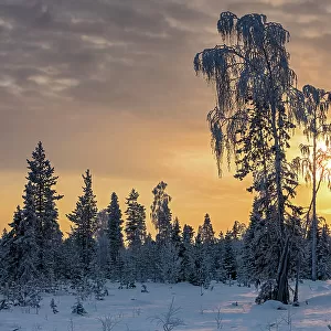 Finland, Lapland, Akaslompolo