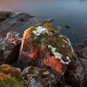 Finland, Sunset in finnish Lapland