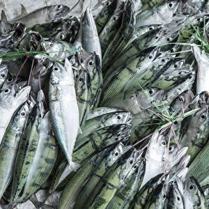Fish displayed in the market in Victoria, Mahe, Seychelles