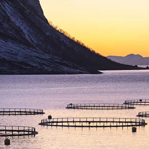 Fish farming in the fjord in front of Torsken. Torsken, Torskefjorden, Senja, Norway