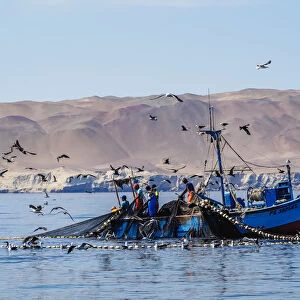 Fishing Boat near Paracas, Ica Region, Peru