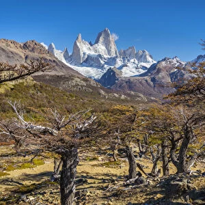 Fitz Roy mountain viewed from trail in autumn, Los Glaciares National Park, El Chalten
