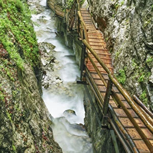 Fixed rope route in forest - Austria, Upper Austria, Kirchdorf an der Krems