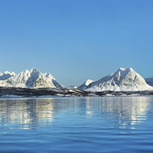 Fjord landscape with Lyngen Alps at Ullsfjord - Norway, Troms, Ullsfjord, Breivkeidet