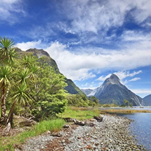 Fjord landscape at Mitre Peak - New Zealand, South Island, Southland