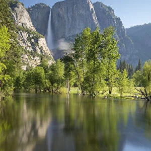 Flooded Merced River and Yosemite Falls during springtime, Yosemite, California, USA