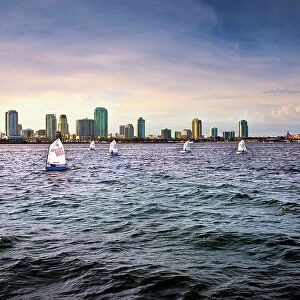 Florida, Saint Petersburg, Skyline, Downtown, Sail Boats, Tampa Bay