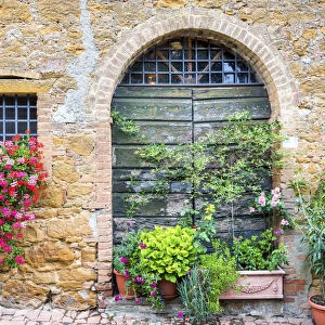 Flowers & Green Door, Monitisi, Tuscany, Italy