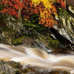 Flowing Stream in Autumn, Glen Bruar, Tayside Region, Scotland